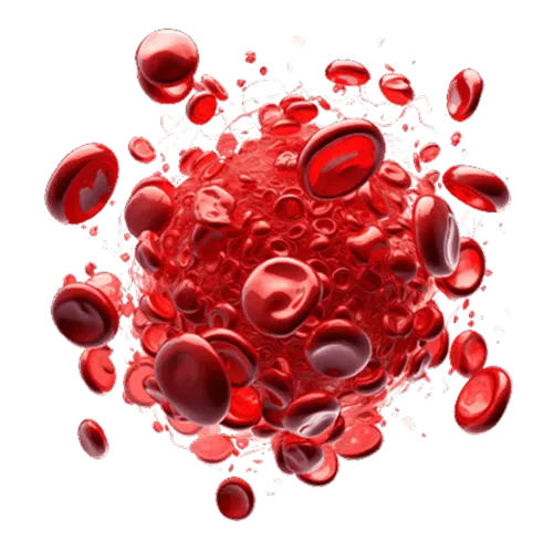 Impaired macroautophagy function