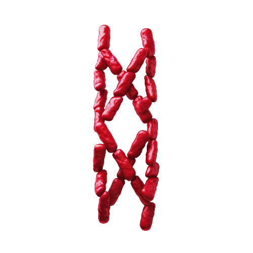 text_img